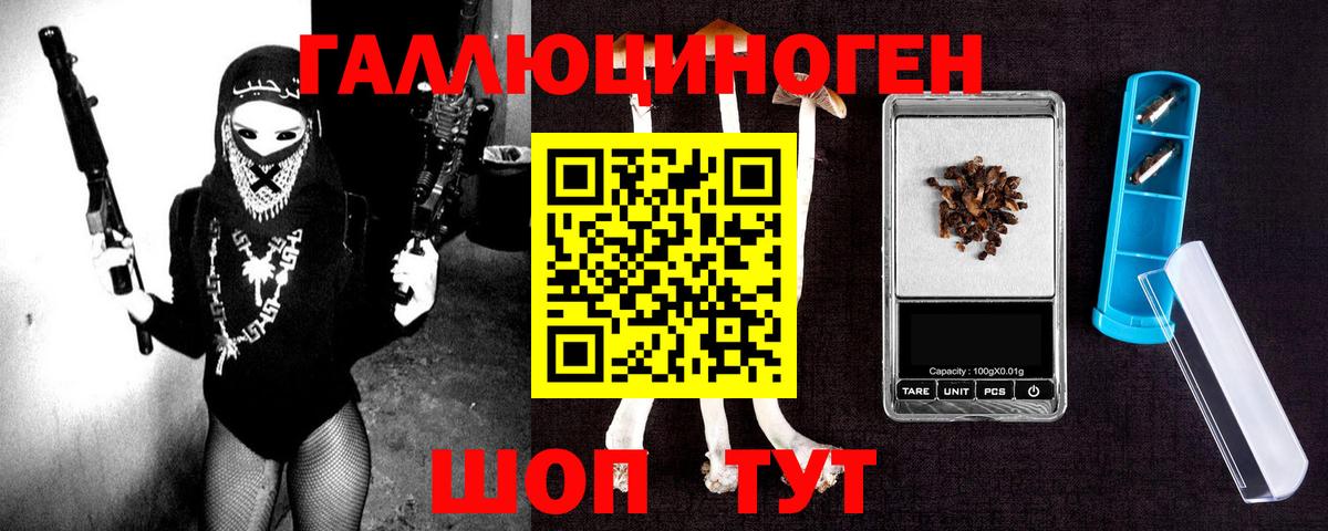 продажа наркотиков  Псилоцибиновые грибы мухоморы  Галлюциногенные грибы ЛСД  Вход с VPN  Петропавловск-Камчатский 