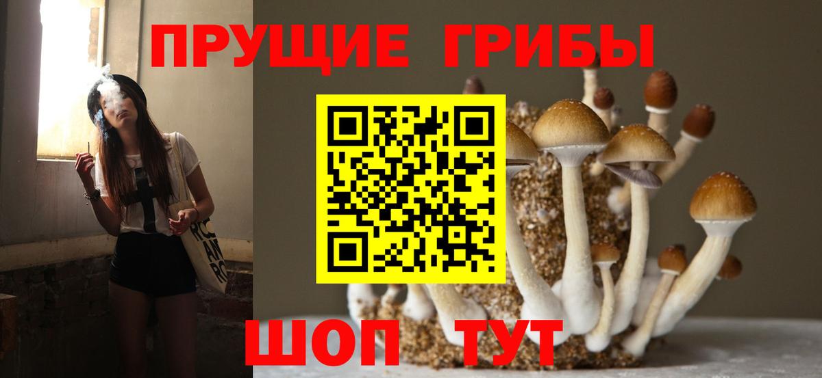 Галлюциногенные грибы Cubensis Петропавловск-Камчатский